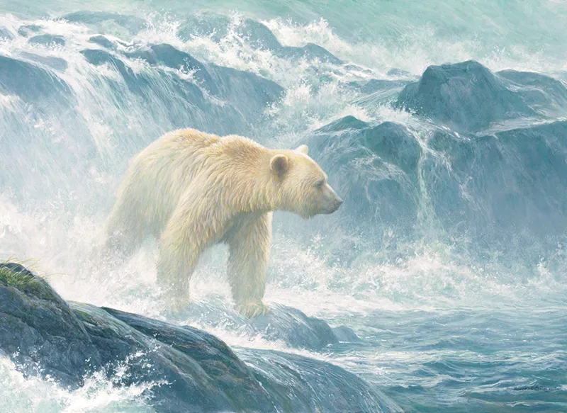 XXL Teile - Salmon Watch - Spirit Bear