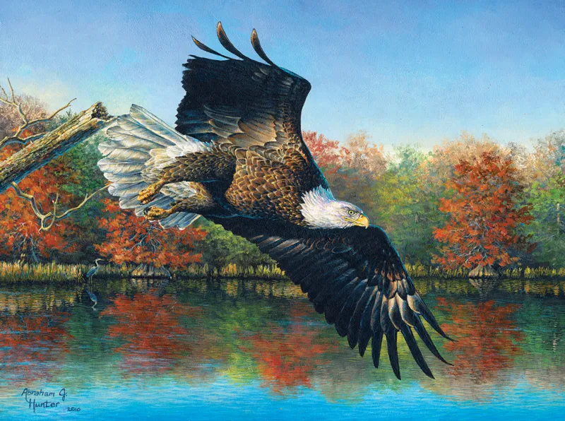 Abraham Hunter - Wetlands Eagle