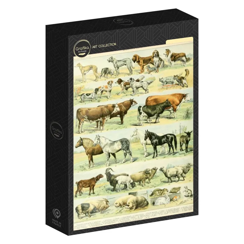 Abbildung aus dem Larousse pour Tous: Säugetiere, 19. Jahrhundert