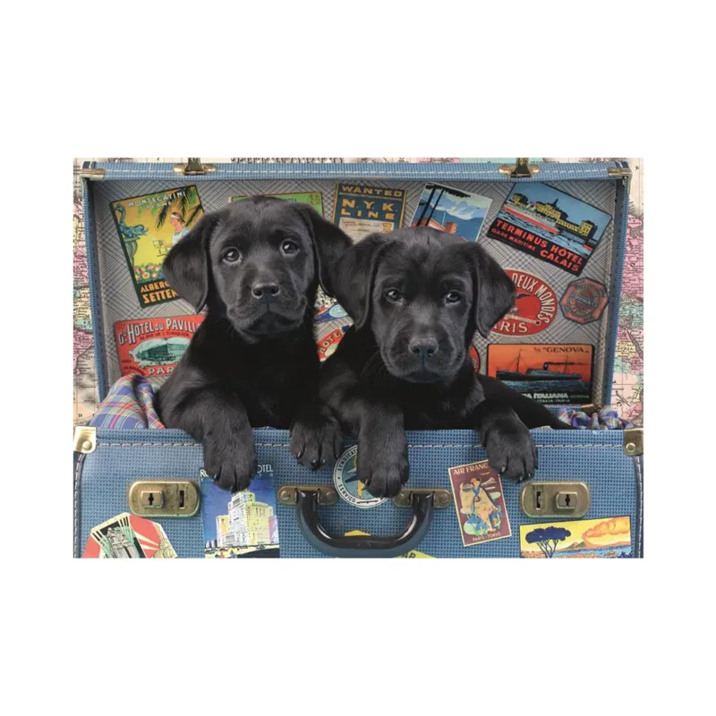 Puppies in a Trunk