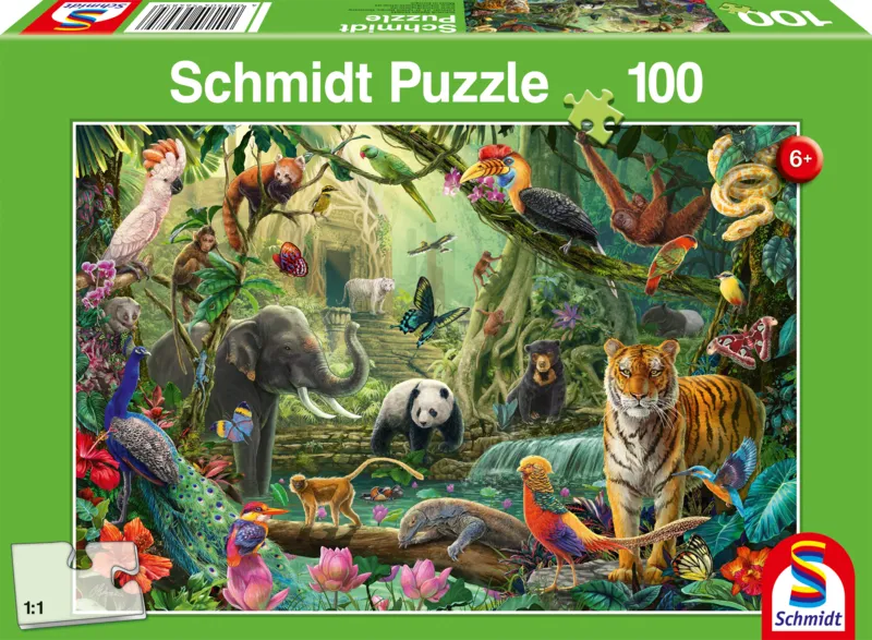 Bunte Tierwelt im Dschungel