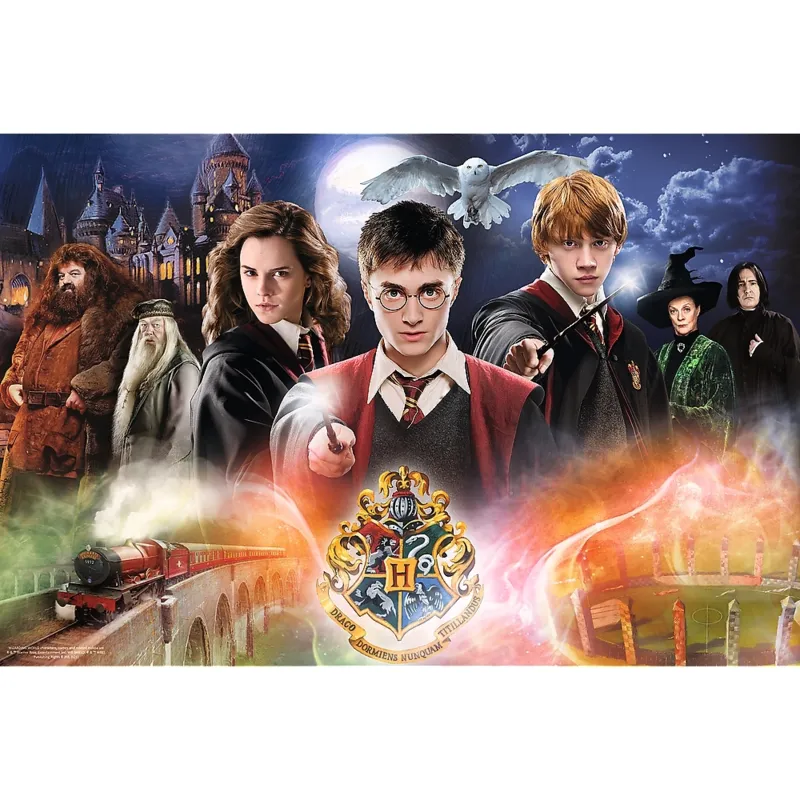 Harry Potter