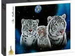 Schim Schimmel - Gentle Family