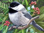 XXL Teile - Black-capped Chickadee