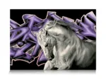 White Horse