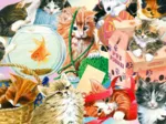 Curious Cats