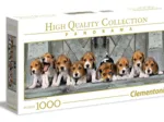 Beagles